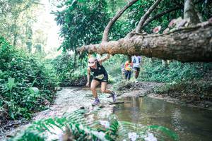 BIB: 
                            <button type="button" onclick="openModal(25443441)" class="btn btn-primary btn-sm float-right btn-popup" data-toggle="modal" data-target=".modal-high-quality">
                        <i class="fas fa-shopping-cart"></i> Add to Cart
                    </button>
                                            <button type="button" onclick="isThisMe(25443441, true)" class="btn btn-success btn-sm float-right btn-popup btn-isme hidden" data-toggle="tooltip" data-placement="bottom" title="นี่คือรูปของคุณใช่ไหม คลิกที่นี่เพื่อเอาเข้าอัลบั้ม">
                        <i class="fas fa-plus"></i> Add to album
                    </button>
                    <button type="button" onclick="isThisMe(25443441, false)" class="btn btn-warning btn-sm float-right btn-popup btn-isnotme hidden">
                        <i class="fas fa-ban"></i> Remove from album
                    </button>